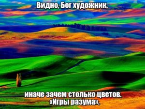 Видно, Бог художник, иначе зачем столько цветов. «Игры разума».